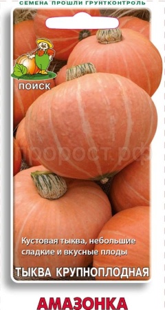 Тыква крупноплодная Амазонка 10шт  Тыква крупноплодная Амазонка 10шт