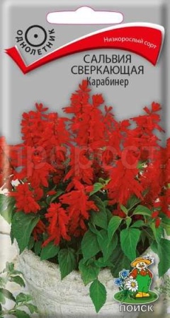Сальвия сверкающая Карабинер 0,1г Сальвия сверкающая Карабинер 0,1г