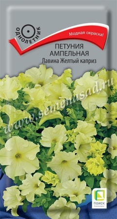 Петуния ампельная Лавина Желтый каприз 10шт