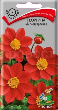 Георгина Мигнон красная 0,2г  Георгина Мигнон красная 0,2г