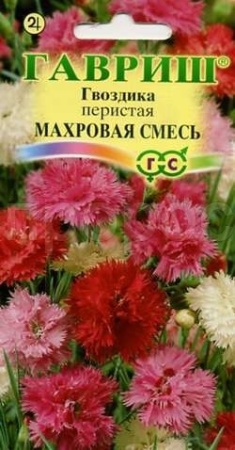 Гвоздика махровая Сказка смесь 0,1г 