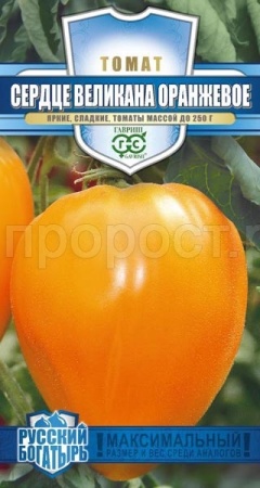 Гавриш серия Русский богатырь Томат Сердце великана оранжевое 0,05 г 