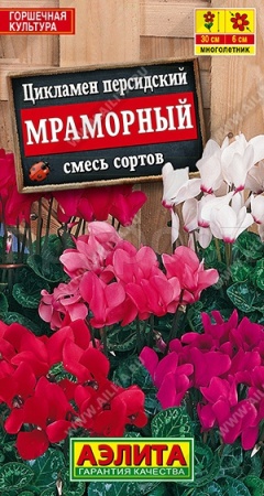 Аэлита Комн. Цикламен Персидский Мраморный, смесь сортов 3шт 