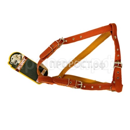 Шлейка кожа Универсал Малая шея 43-56см, грудь 54-64см/410/Вестерн