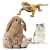 Питомцы