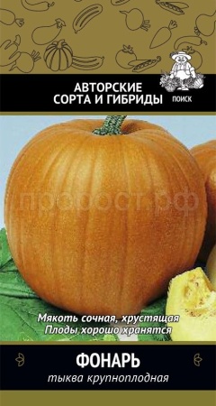 Поиск Тыква крупноплодная Фонарь 10шт