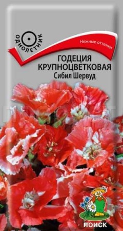 Годеция Сибил Шервуд 0,2г Годеция Сибил Шервуд 0,2г