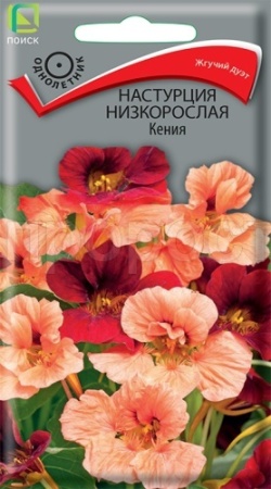 Настурция Кения 1гр Поиск Настурция Кения 1гр Поиск