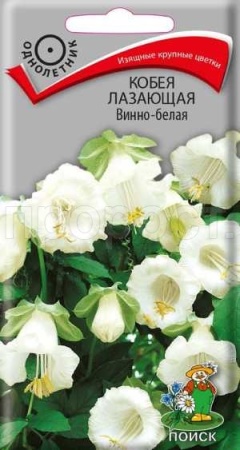Кобея лазающая Винно-белая 5шт