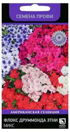 Флокс друммонда Этни Микс 10шт Флокс друммонда Этни Микс 10шт