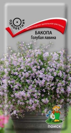 Бакопа Голубая лавина 5шт  Бакопа Голубая лавина 5шт