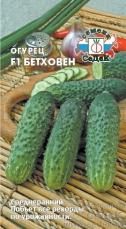 Седек Огурец Бетховен F1 8шт