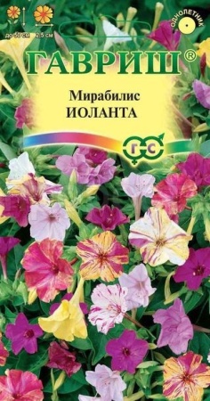Мирабилис Иоланта 1,0 г  Мирабилис Иоланта 1,0 г