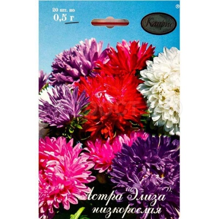 Астра смесь Элиза низкорослая 20*0,7 Астра смесь Элиза низкорослая 20*0,7