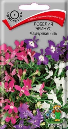 Лобелия Жемчужная нить 0,1г Лобелия Жемчужная нить 0,1г