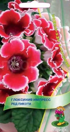 Глоксиния Импресс Ред Пикоти 5шт Глоксиния Импресс Ред Пикоти 5шт