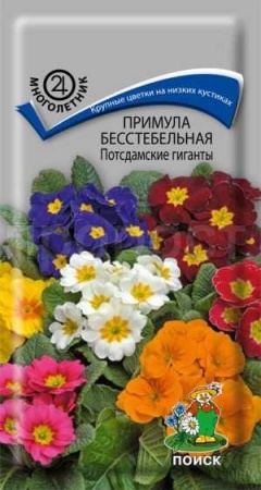 Примула Потсдамские гиганты бесстебельная 0,05г Примула Потсдамские гиганты бесстебельная 0,05г
