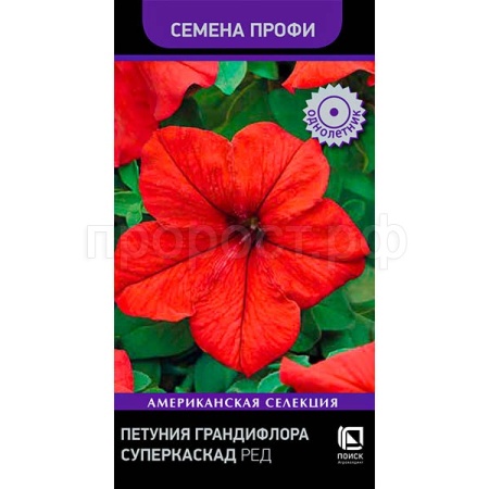Петуния грандифлора Суперкаскад Ред 10шт Петуния грандифлора Суперкаскад Ред 10шт