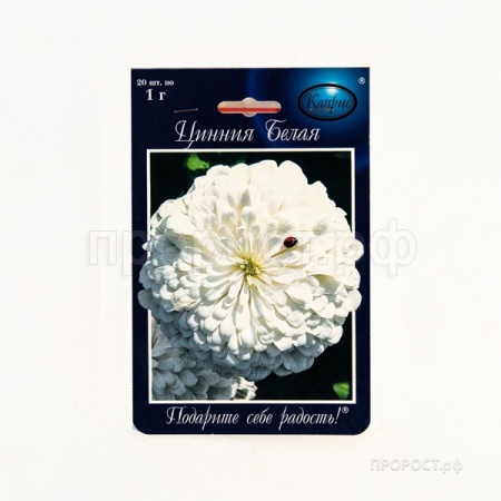 Цинния Полярный медведь Белая 20*1