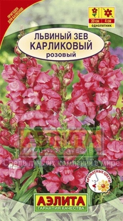 Львиный зев карликовый розовый 10шт Львиный зев карликовый розовый 10шт