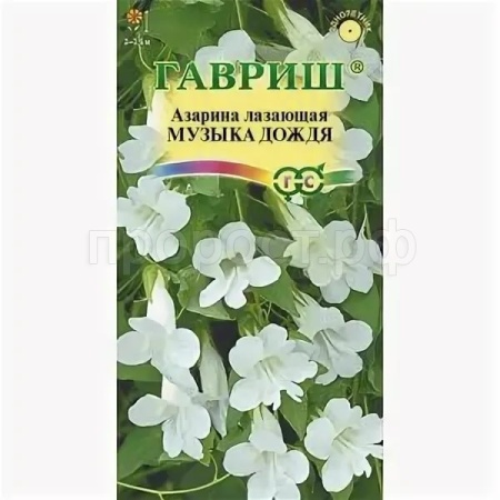 Азарина Музыка дождя 4шт Азарина Музыка дождя 4шт