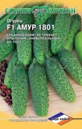 Огурец Амур 1801 F1 5шт Огурец Амур 1801 F1 5шт