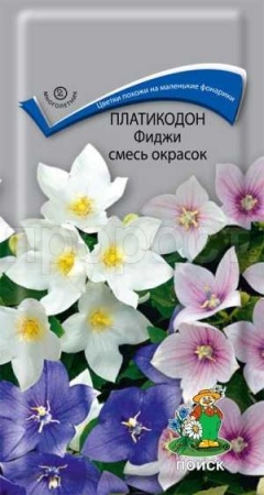 Платикодон Фиджи смесь окрасок 25шт Платикодон Фиджи смесь окрасок 25шт