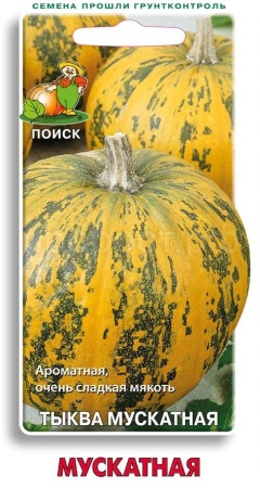 Тыква мускатная Мускатная 10шт  Тыква мускатная Мускатная 10шт