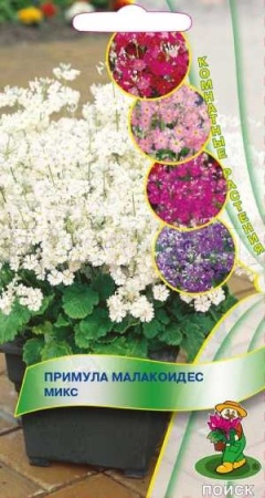 Примула малакоидес Микс 0,01г Примула малакоидес Микс 0,01г