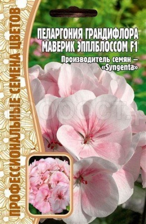 Пеларгония грандифлора Маверик Эпплблоссом F1 3шт Пеларгония грандифлора Маверик Эпплблоссом F1 3шт