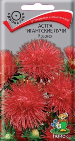 Астра Гигантские лучи Красная 0,3г