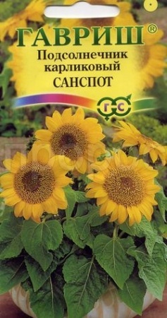 Подсолнечник Санспот карликовый  0,5 г  Подсолнечник Санспот карликовый  0,5 г