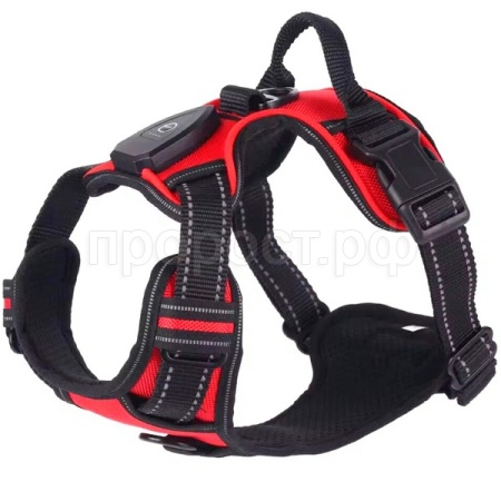 Шлейка с LED подсветкой L ш.40-60 гр.70-95 Ш-33 красный