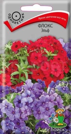 Флокс друммонда Эльф 0,1г Флокс друммонда Эльф 0,1г