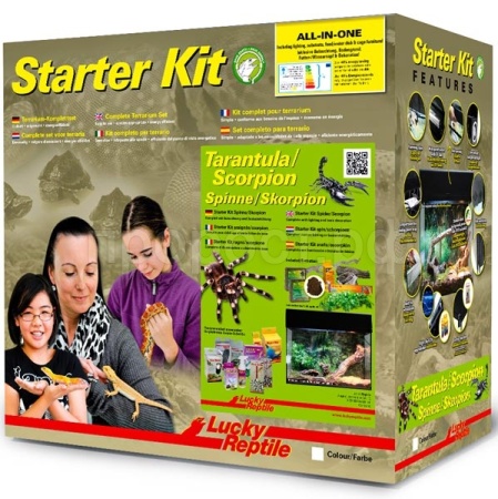 Террариум LUCKY REPTILE Стартовый комплект для Пауков и Скорпионов белый 50х28х (Германия) SK50TS-W