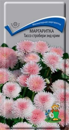 Маргаритка Тассо стробери энд крим 20шт Маргаритка Тассо стробери энд крим 20шт