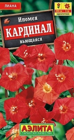 Аэлита Ипомея Кардинал вьющаяся 0,5г 