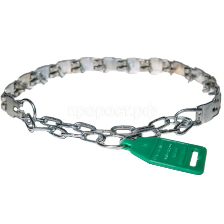 Ошейник строгий пластинчатый  DONBARON